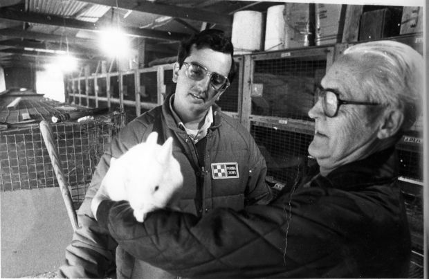 Rabbit workshop